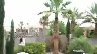 عاهرة مذهلة بشعر بني تظهر فرجها وتتوسل لقضيب صلب