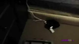 المهبل الخام بطن