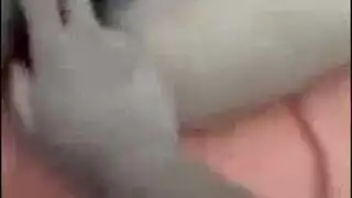 رجل عربي ممتلئ يحصل على خدمة قضيبه السمين بقوة