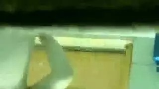 حصان ينيك بنت هامستر