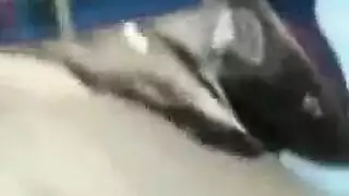 حفلة بخككي خارجية من أجل كوغار كورية متلهفة