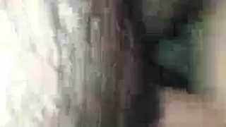 عاهرات كبيرات السن: تجربة بصرية وسمعية كاملة