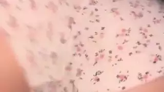 الهرة الأكل منفرد الانتشار