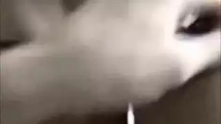 فيديو عاري للمراهقين الهواة مع مشاهد صريحة